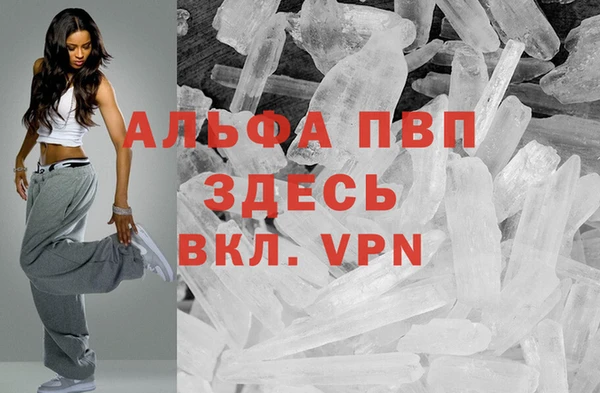 индика Белоозёрский